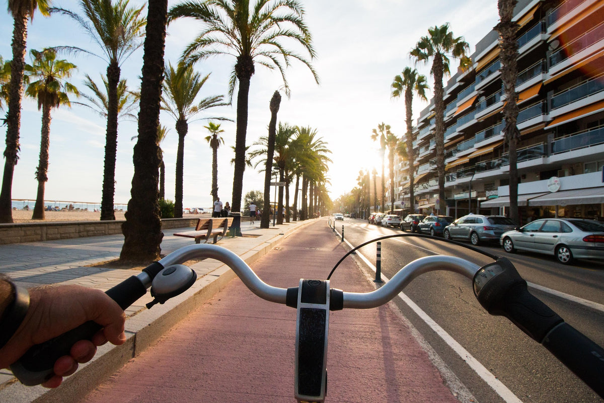 Viewpoint from a bicycle overlooking a bike path in a city street surrounded by palm trees on both sides while facing the sunset