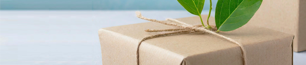 brown paper-wrapped gifts with green leaves on a light blue background