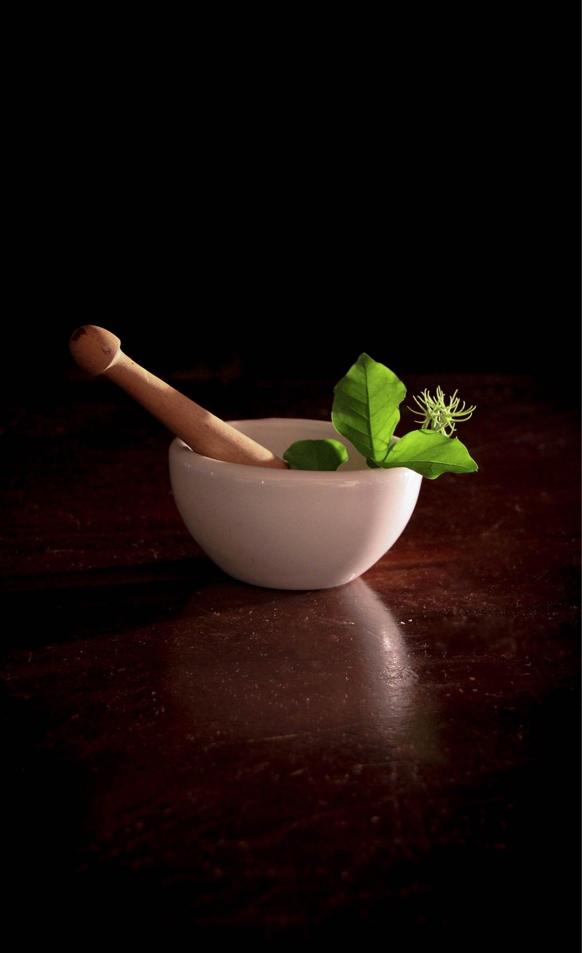 White mortar and pestle with green leaves on a dark surface