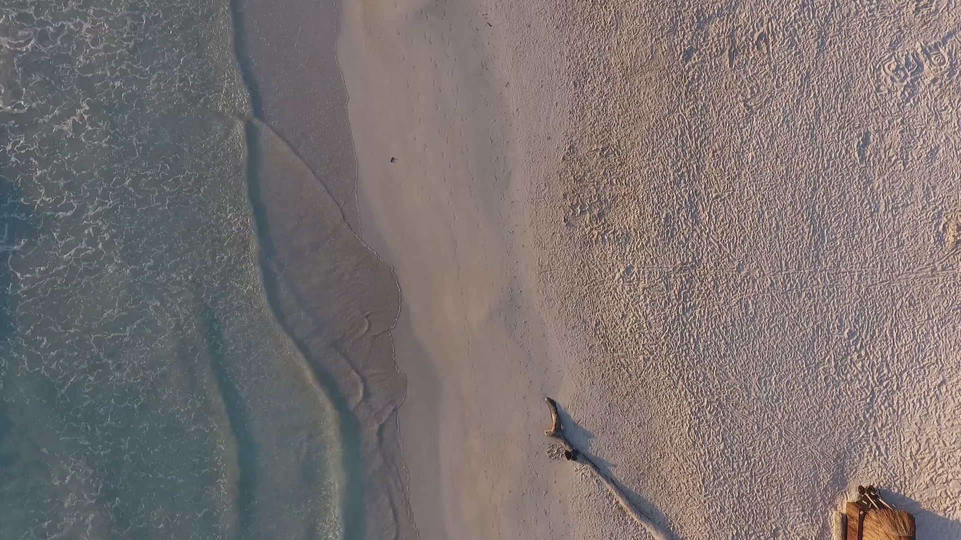 aerial view of person running along sandy beach with  calm ocean waves on the left